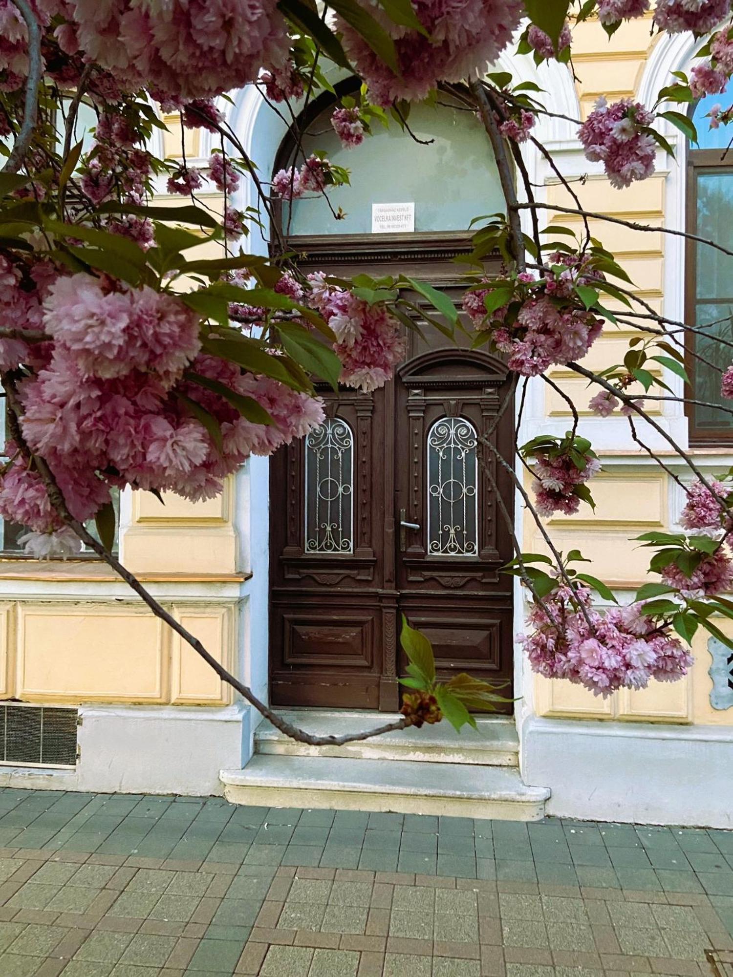 Silentium City Apartman Sárvár Zewnętrze zdjęcie